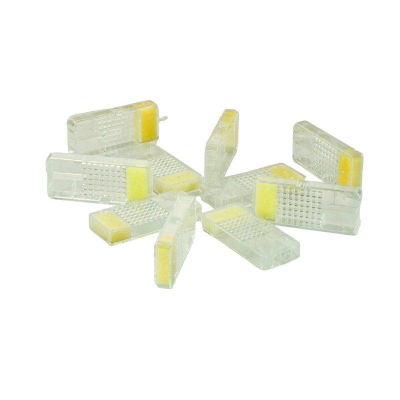 BEEtastic Queen Cages – Pack of 10 – Slow Release Queen Introduction Cages