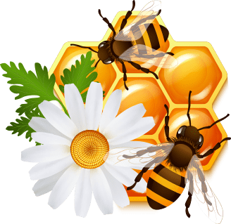 Bee Hives &amp; Hive Parts